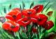 Mohn