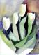 Weisse Tulpen -  Aquarellina - Aquarell auf Papier - Sonstiges - 