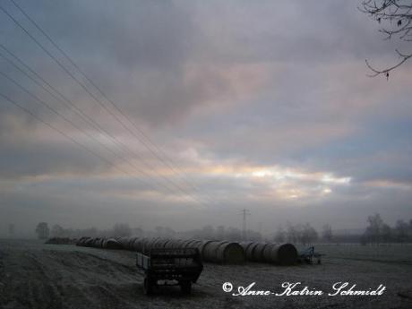 Aufkommender Nebel -  Anne Schmidt -  auf  - Array - 