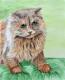 Der Kater Leopold -  Olga Gellfand - Aquarell auf Papier - Sonstiges - 