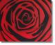 Red Rose (2004)- TAN (Tanja Meyer) -  Tan - Acryl auf Leinwand - Sonstiges-Rosen - 