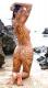 Zebra girl 2002 - Hendrik Arie Baartman -  Baartman -  auf  - Sonstiges - 