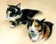 Katzen-Duo  - Karin Schnabl - Karin Schnabl - Pastell auf Papier - Sonstiges-Katzen - 