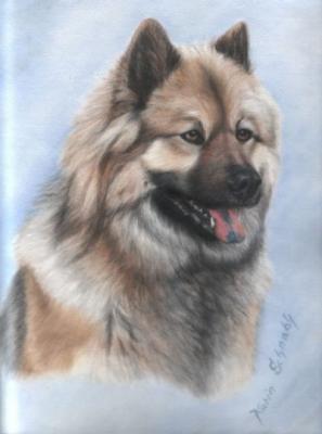 EURASIER - Karin Schnabl - Array auf  - Array - 