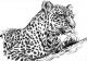 Leopard (2004) Stefan Weber - Stefan Weber - Zeichnung auf  - Sonstiges-Tiere - 