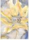 Blume in Fantasie (2003) -Steffen Strobel- - Steffen Strobel - Aquarell auf Papier - Sonstiges-Blumen - 