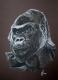 Gorilla (2003) Janette Herlinger - Janette Herlinger - Pastell-Kohle auf  - Sonstiges - 