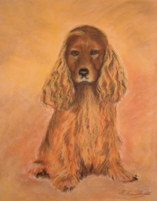 Cockerspaniel - Martina Heinisch - Array auf  - Array - 