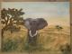 -Afrika-Elefant- - c. lemke -  auf Leinwand - Elefanten-Landschaft-Stillleben - Fotorealismus-Naturalismus