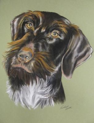 Jagdhund, Portrait in Pastell - Gaby Lukas - Array auf Array - Array - 