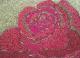 Rote Rose  - Alexander Schmidt -  auf Karton-Metall-Pappe - Rosen-Sonstiges - 