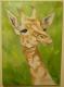 Giraffe - Brigitte van MÃ¼nster - Acryl auf Leinwand - Tiere - GegenstÃ¤ndlich