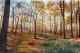 Herbstwald - Rainer Hillebrand - - auf  - Wald - 