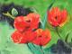 Klatschmohn 1 - Egon Rathke - Aquarell auf  - Mohn - 