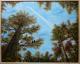 Herbstwald - Marianne Koroll - Acryl-Mischtechnik-Ãl auf Leinwand - Fantastisch-Himmel-Wald-Wolken - 