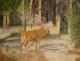 Waldmeister - Jacqueline Scheib - Pastell auf Papier - Wildtiere-Wald-Stillleben-Stimmungen - Naturalismus