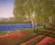 Birken im Sommerlicht - Andreas Merk - Acryl auf  - Landschaft - 