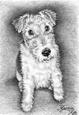 Foxterrier - Nicole Zeug - Array auf  - Array - 