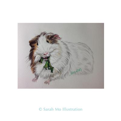 Fressendes Meerschweinchen - Sarah Mo Illustration - Array auf Array - Array - 