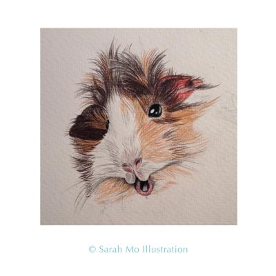 Meerschweinchen HAY - Sarah Mo Illustration - Array auf Array - Array - Array