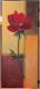 Mohnblumen Duo - Karina Birke - Acryl auf Leinwand - Mohn - 