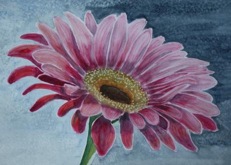 Gerbera - Kristina Thome - Array auf Array - Array - Array