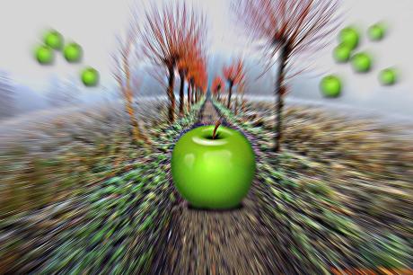 Neues Kunstwerk - Bernd Georg Schwemmle -  auf  -  - 